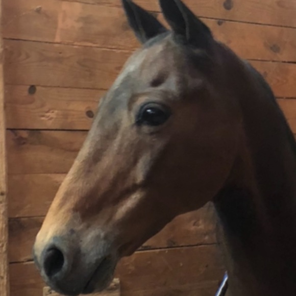 Meet your Posher, Allison - Picture 1 of 1